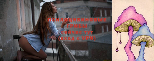 спайс Мегион
