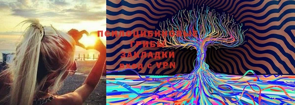 трава Медногорск