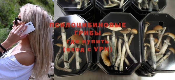 спайс Мегион