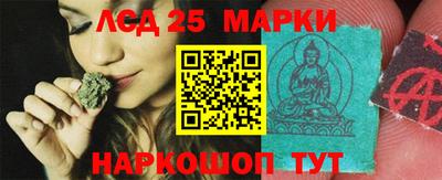 СК Волгодонск