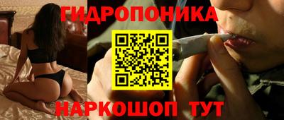 ПСИЛОЦИБИНОВЫЕ ГРИБЫ Балахна