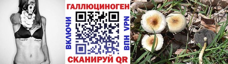 Псилоцибиновые грибы MAGIC MUSHROOMS  Йошкар-Ола 