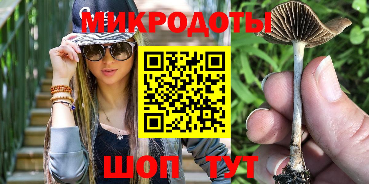 Псилоцибиновые грибы Psilocybine cubensis Йошкар-Ола